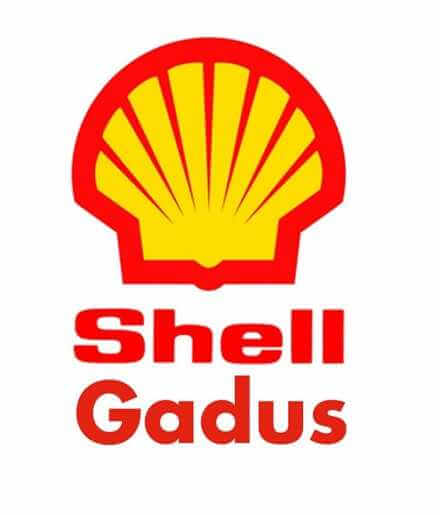 Buy Shell Gadus S2 V220 AC 2 Barrel 50 kg. auto parts shop online at best price