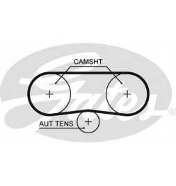 Buy Gates Poly-V Belt 5596XS 153X30 auto parts shop online at best price